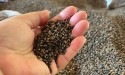 350 toneladas de sementes irregulares são apreendidas de outubro a novembro