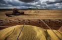 VBP do agro supera R$ 1,1 trilhão