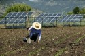 Senado aprova benefício na conta de luz para agricultor familiar com painel solar