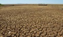 Especialistas reforçam alertas de seca severa no Nordeste