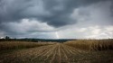 Confira como será o Verão com o El Niño para a agricultura brasileira