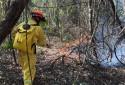 SP reduz em 86% as áreas atingidas por incêndios florestais