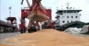 Maior consumidor do planeta, China corta consumo de soja para depender menos das importações