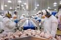 Brasil e México têm acordo de manutenção do comércio em caso de gripe aviária