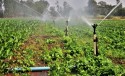 SP tem plano de ação para incentivo à irrigação