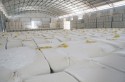 Sustentados pela exportação, preços do algodão se mantêm estáveis no mercado interno