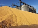 CNA aponta grave falta de armazéns para grãos no Brasil