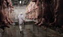 Rússia amplia lista de frigoríficos brasileiros autorizados a exportar carnes
