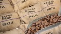 Diante de queda nas exportações, cotação do café tem forte oscilação