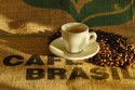 Agro do Brasil vai exportar café para a Zâmbia