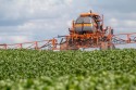 Ibama proibe agrodefensivo sem apresentar razões técnicas, diz Aprosoja
