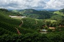 Com o café como carro chefe, agro mineiro responde por 22% do PIB do estado