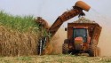 Gigante do agro brasileiro vai produzir açúcar e etanol no interior de SP
