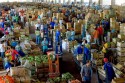 Condições climáticas influenciam na oferta e preços do hortifrúti, aponta boletim