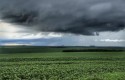 Chuvas interrompem colheita da Soja e preços sobem