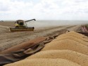 Exportação de soja bate novo recorde, mas grão sofre desvalorização