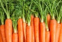 Oferta nacional da cenoura ainda é restrita e sustenta preços em MG