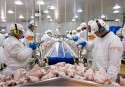 Maior importador de carne de frango brasileira vai demandar mais proteína em 2024