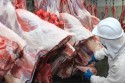 Brasil seguirá líder na exportação de carne bovina, aponta USDA