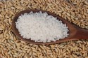 Após período de retração, preço do arroz volta a subir
