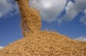 Brasil exportou mais de 85 mil toneladas de arroz em março
