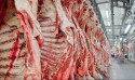 Exportações de carne bovina in natura caminham para novo recorde