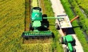 Produtores do RS já colheram 78% da área de arroz