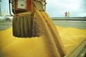 Exportações de soja crescem em abril