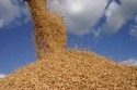 Justiça intima governo federal a explicar leilão para importação de arroz