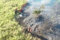 Queimadas no Pantanal superaram em 39% o pior índice registrado