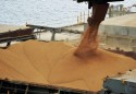 China passa a importar soja americana após entrada em vigor de MP no Brasil