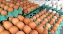 Comércio de ovos tem queda no mercado doméstico