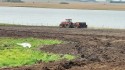 Semeadura de arroz avança no RS