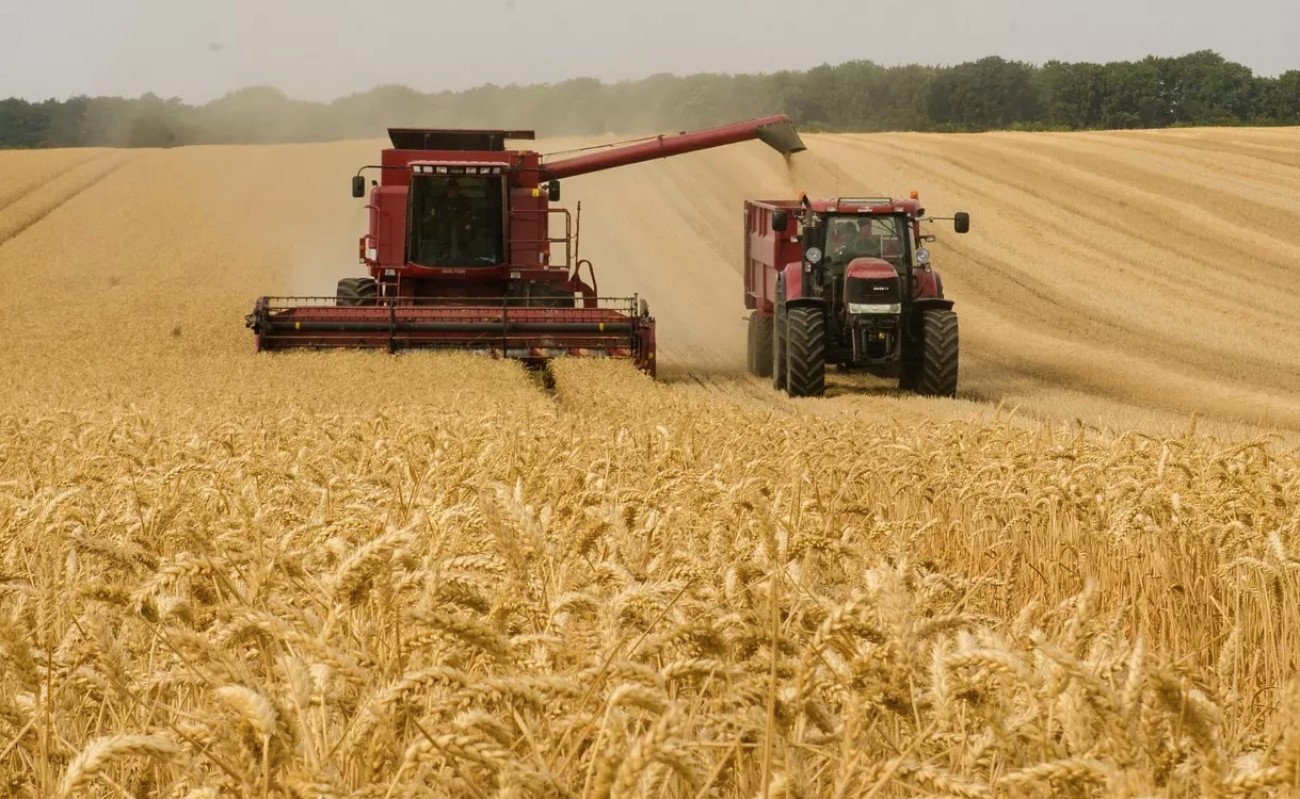 Novo leilão de apoio ao escoamento de trigo será realizado nesta