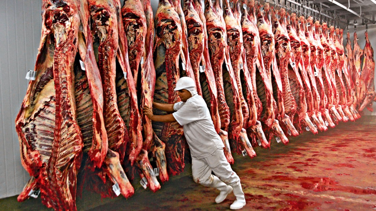 China vai receber carne de mais 38 plantas frigoríficas