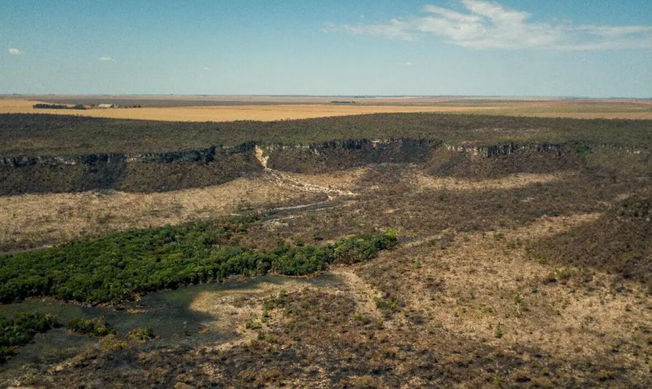 Avamço do desmatamento no Cerrado mobiliza governadores de sete estados