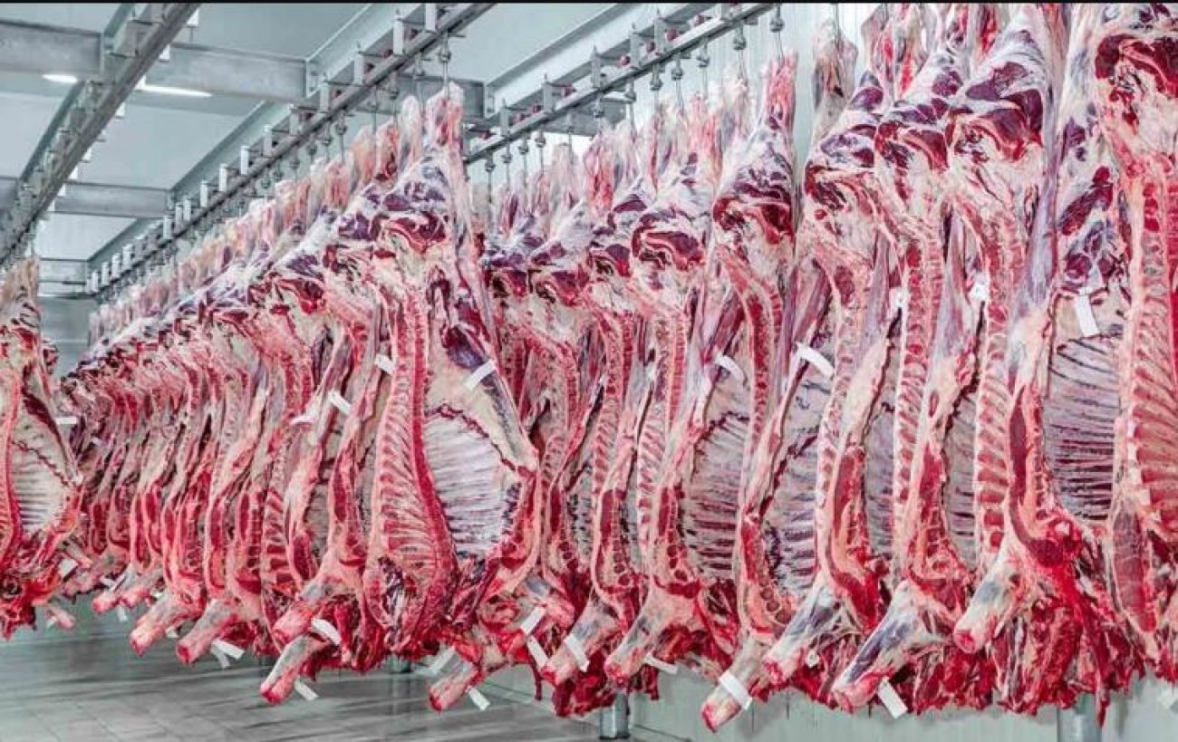 Exportações de carne suína têm forte queda