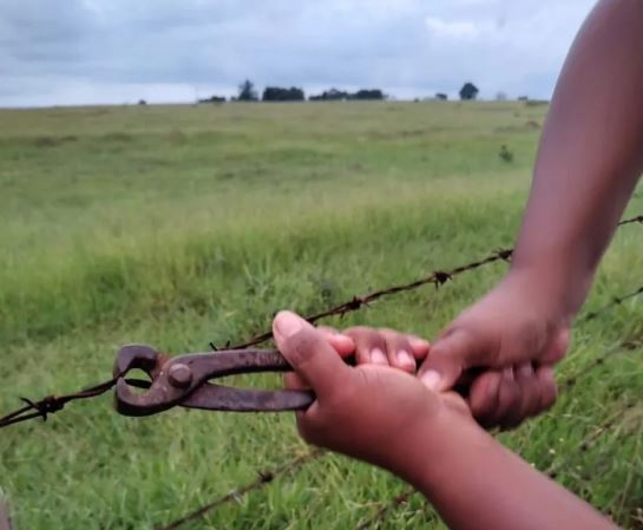 Agro se une para barrar atuação do MST