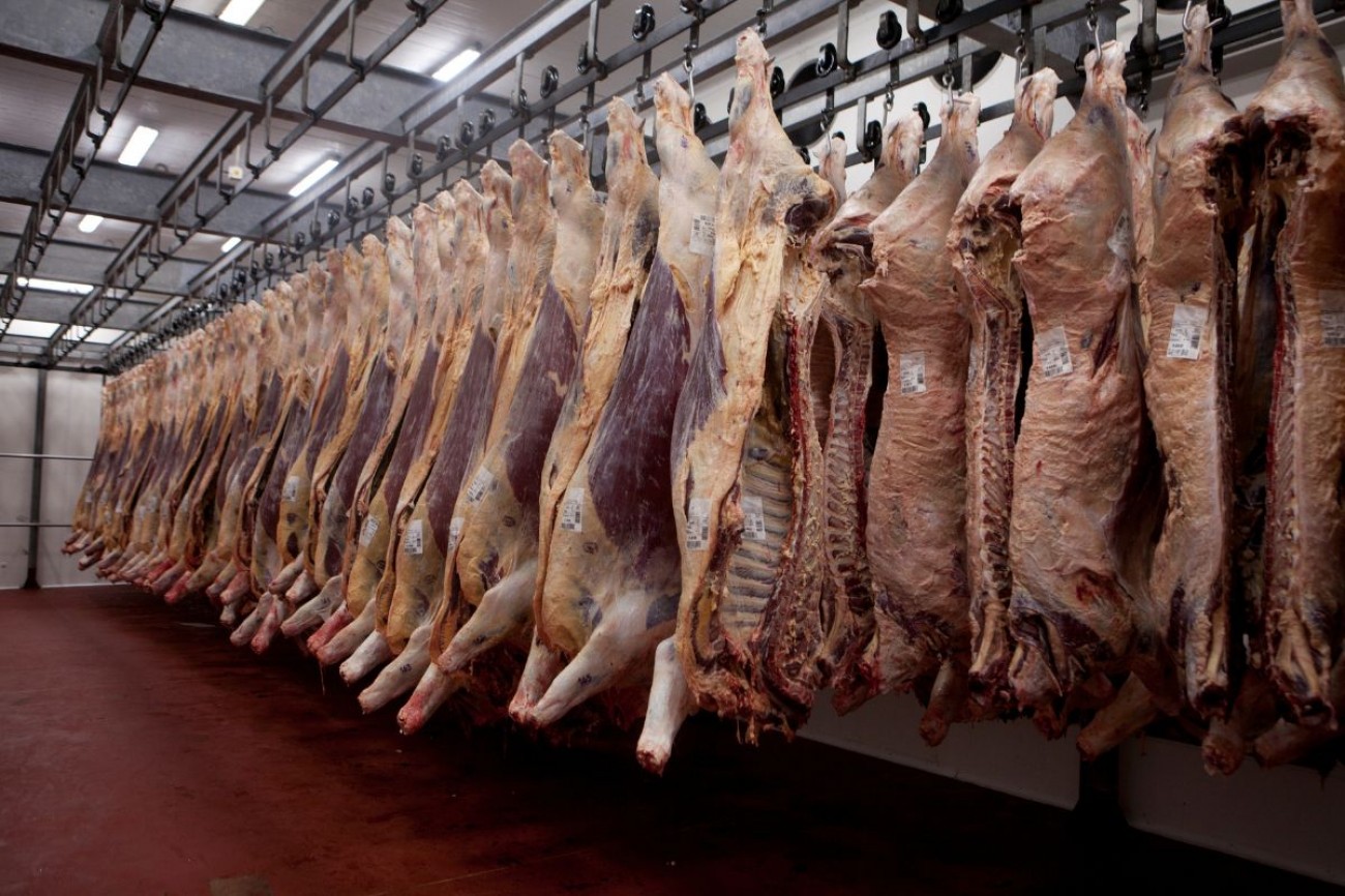 Setor pecuário anuncia doação de 2 milhões de quilos de carnes e ovos ao RS