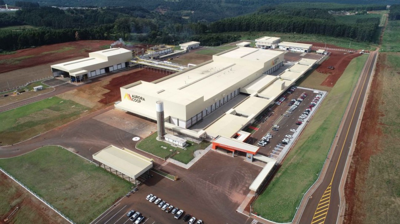 Aurora Coop vai expandir produção de processados de carne suína em MS
