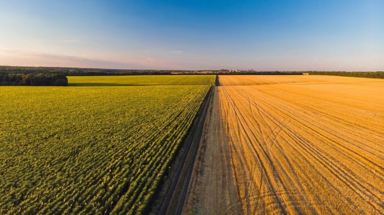 Agro Paulista fecha semestre com aumento de 9,4% no superávit da balança