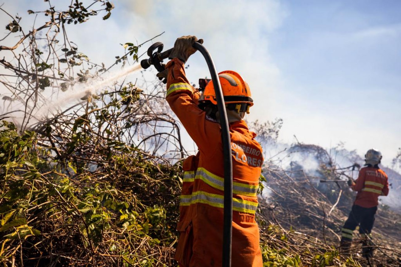 Projeto de Lei prioriza uso de bombeiros locais em ações de prevenção e proteção do meio ambiente