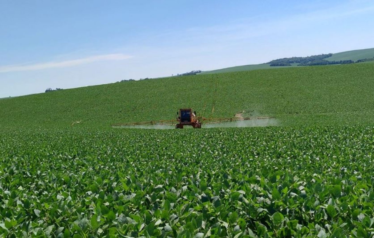 La Niña deve provocar períodos de estiagem e impactar na produção de soja no Sul