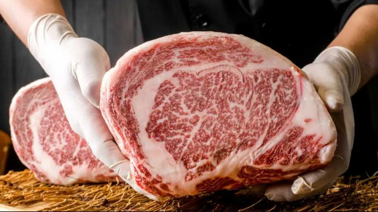 Wagyu: a carne mais cara do mundo ganha força no Brasil
