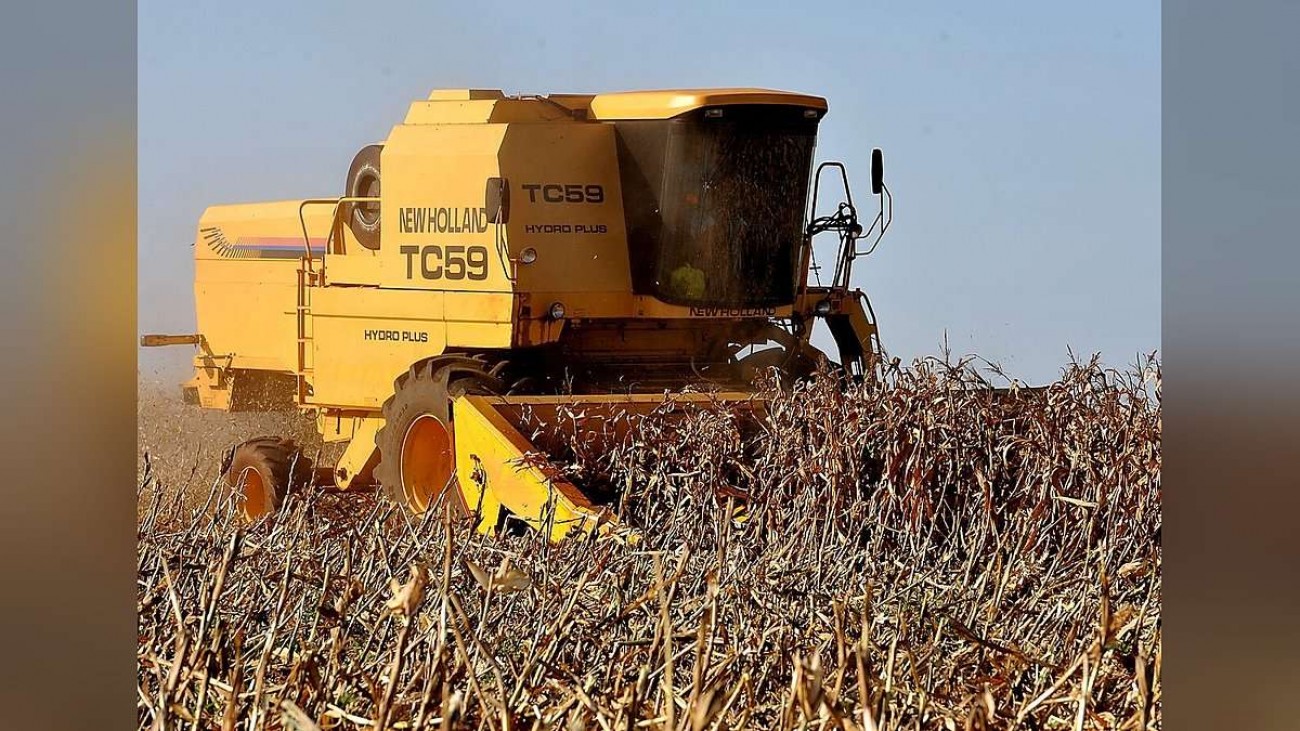 Recuperação judicial no agro cai 20,7%; Mato Grosso segue com mais pedidos