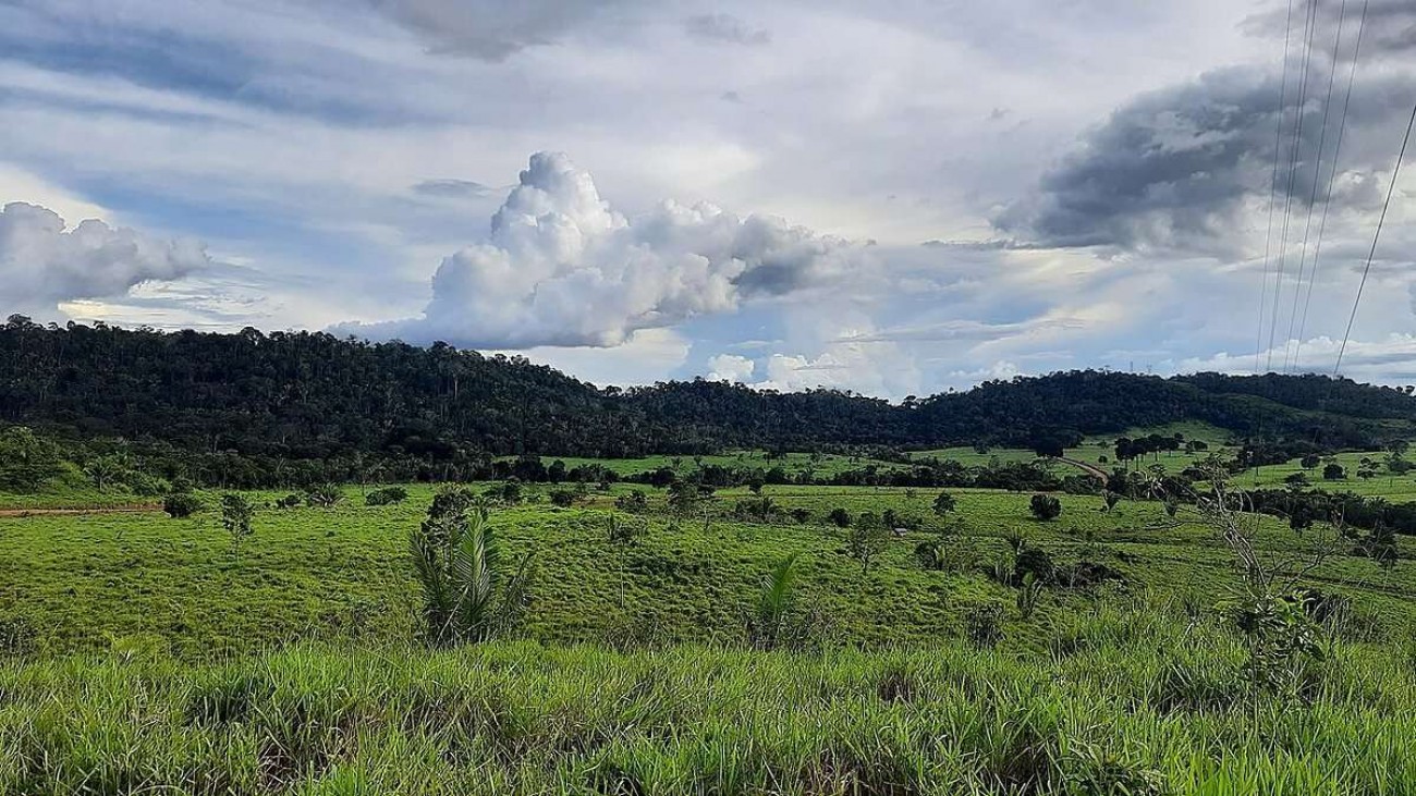 IBGE abre cadastro do Censo Agro 2027; produtor pode se inscrever até agosto de 2027