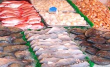 País tem campanha para incentivo ao consumo de peixes e frutos do mar