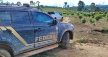 Ministério Público do Trabalho identifica trabalho análogo à escravidão em fazendas do Pará