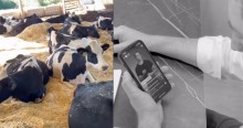 Polêmica, campanha de ator global contra produtores de leite tem resposta de deputado (Assista)