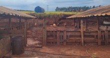 Produtos suínos irregulares são apreendidos em Ribeirão Preto